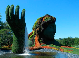 JARDÍN BOTÁNICO JARDÍN BOTÁNICO