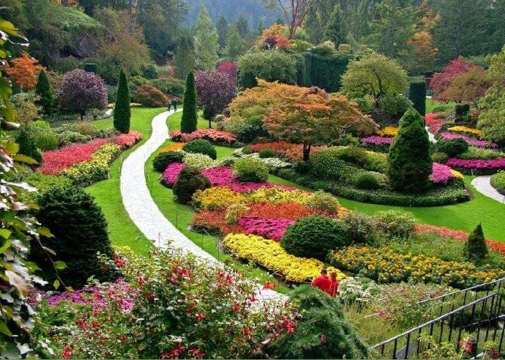 JARDÍN BÓTANICO JARDÍN BÓTANICO